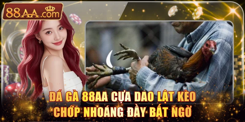Đá gà 88AA cựa dao lật kèo chớp nhoáng đầy bất ngờ