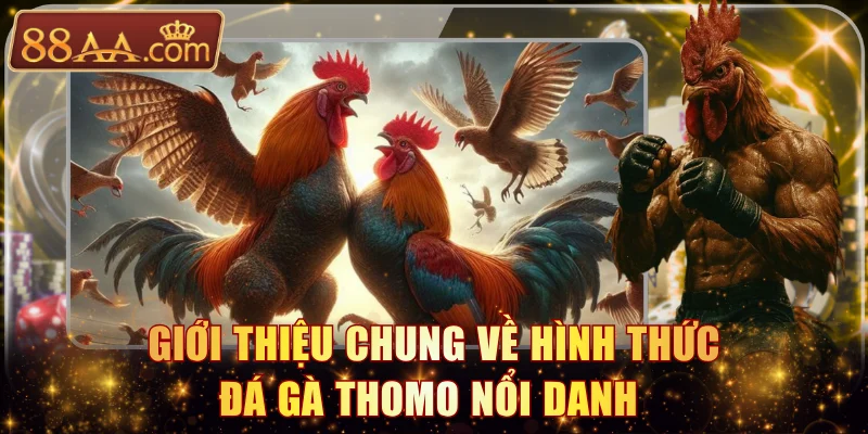 Giới thiệu chung về hình thức đá gà Thomo nổi danh